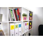 Post-it Neon Colour Notes 38x51mm 100 Sheet Pads Assorted (36 Pack) 6812