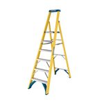 Werner 6 Tread Fibreglass Platform Ladder 7170618