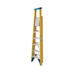 Werner 6 Tread Fibreglass Platform Ladder 7170618