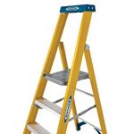 Werner 6 Tread Fibreglass Platform Ladder 7170618