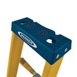 Werner 6 Tread Fibreglass Platform Ladder 7170618