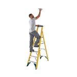 Werner 6 Tread Fibreglass Platform Ladder 7170618