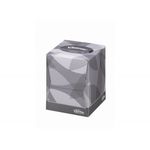 Kleenex Facial Tissues 2-Ply x88 Sheets White Pack of 12 8834