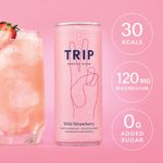Trip Mindful Blend Drink Wild Strawberry 250ml Pack of 12 129081