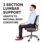 Fellowes Professional Series Ultimate Back Support Black 8041801