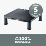 Fellowes Standard Monitor Stand Graphite 9169301