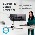 Fellowes Vista Dual Monitor Arm 8041701