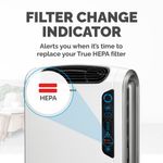 Fellowes DX55 Medium True HEPA Filter 9287101
