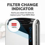 Fellowes AeraMax DX95 Large True HEPA Filter 9287201