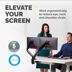 Fellowes Platinum Series Dual Monitor Arm Black 8042501