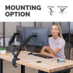 Fellowes Platinum Series Dual Monitor Arm Black 8042501