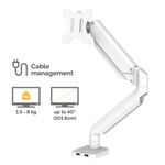 Fellowes Platinum Series Single Monitor Arm White 8056201