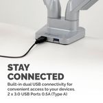Fellowes Platinum Series Dual Monitor Arm Silver 8056501