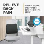 Fellowes Comfort Back Cushion Black 100119852