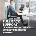 Fellowes Comfort Back Cushion Black 100119852