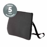 Fellowes Comfort Back Cushion Black 100119852