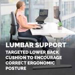 Fellowes Lumbar Cushion Black 100119853
