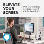 Fellowes Standard Monitor Stand Platinum 91712