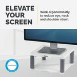 Fellowes Premium Monitor Stand Plus with Storage Drawer and Built In Copyholder White 9171302