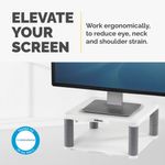 Fellowes Premium Monitor Stand Platinum 9171701