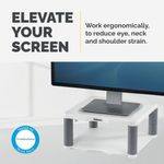 Fellowes Premium Monitor Stand Platinum 9171701