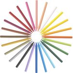 Bic Plastidecor Crayons Assorted Pack of 24 8297721