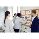 Earth Executive Cork Noticeboard 120x90cm Cork Surface Oak MDF Frame SF152001239