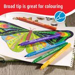 Berol Colour Broad Class Pack Assorted (Pack of 288) 2057598