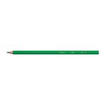 Bic Kids Evolution Ecolutions Colouring Pencils Assorted (Pack of 12) 829029