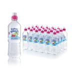 Radnor Hills Splash Still Water Apple Raspberry 500ml (Pack of 24) 0201046
