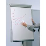 Durable Whiteboard Fluid Cleaner And Renovater 250ml 575719
