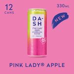 Dash Water Sparkling Water Pink Lady Apple 330ml Can Pack of 12 DBL421