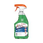 Mr Muscle Window and Glass Cleaner 750ml (Pack of 6) 316533
