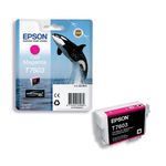 Epson T7603 Killer Whale UltraChrome HD Ink Cartridge Vivid Magenta C13T76034010