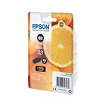 Epson 33 Oranges Ink Cartridge Photo Black C13T33414012