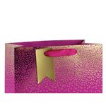 Eurowrap Ombre Gift Bag 210gsm Large Pink Pack of 6 29835-2CC