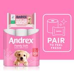 Andrex Family Toilet Roll 2-Ply 170 Sheets per Roll Pack of 24 4978918
