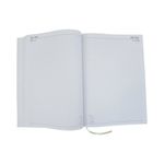 Desk Diary 2 Page Per Day A4 Sage Green 2027 FS669430