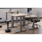 Ff Jemini Sitstand 1600X800 Dwal/Sv