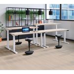Ff Jemini Sitstand 1600X800 Dwal/Sv