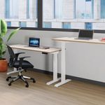 Jemini Sit/Stand Height Adjustable Desk 1600x800 GOak/Slv KF809944