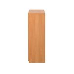 5 Star Modara Lockable Cupboard 2 Shelves 750x400x1200mm Bch KF822202