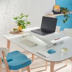 Leitz Ergo Cosy Standing Desk Converter 65330085