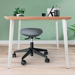 Leitz Ergo Active Wobble Stool with Easy Roll Castor Wheels 65770095