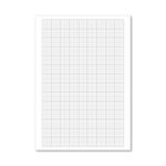 Loose Leaf Graph Paper A4 (500 Pack) 100103410