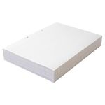 Loose Leaf Paper A4 Ruled with Margin (2500 Pack) 100101810