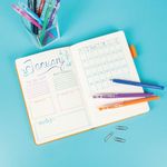 Pilot FriXion Ball Stick Erasable Gel Pens Wallet Assorted (Pack of 12) 5012052061989