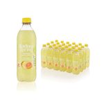 Radnor Sparkling Pineapple/Grapefruit 500ml Pack of 24 P--RS5SPPG/24