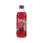 Radnor Sparkling Blk Cherry/Blackcurrant 500ml Pack of 24 P-RS5SPCB/24