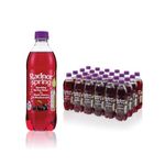 Radnor Sparkling Blk Cherry/Blackcurrant 500ml Pack of 24 P-RS5SPCB/24